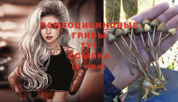 mdma Михайловка