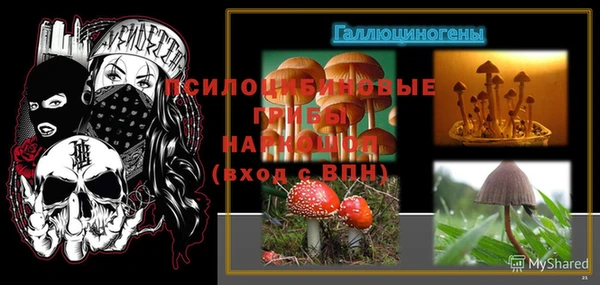 стаф Михайловск
