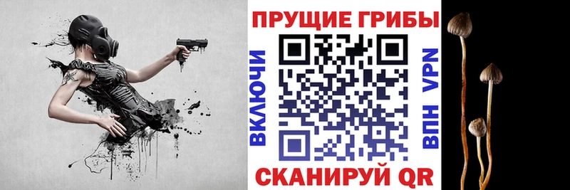 Псилоцибиновые грибы MAGIC MUSHROOMS мега как войти Благовещенск где продают наркотики