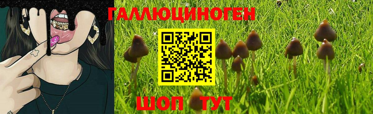 Псилоцибиновые грибы мицелий  Вход с VPN  Галлюциногенные грибы мухоморы  Благовещенск 