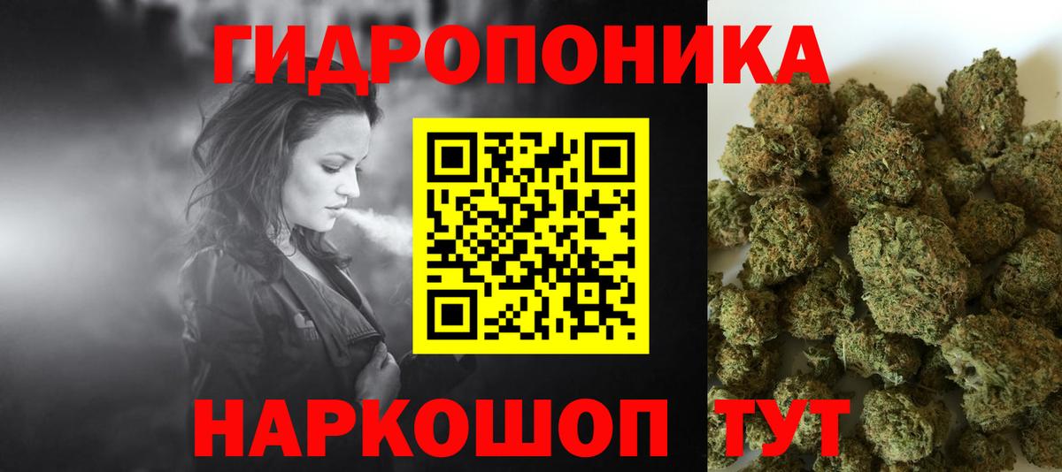 Бошки Шишки гибрид  Благовещенск  Бошки Шишки MAZAR 