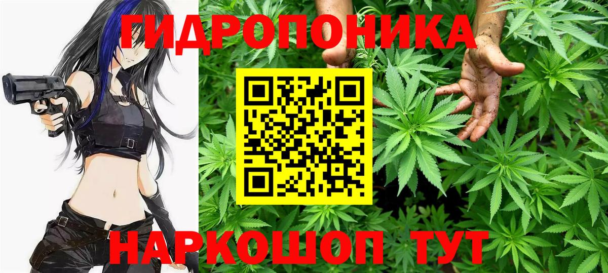 Конопля OG Kush  Вход с VPN  Каннабис ГИДРОПОН  Благовещенск  Каннабис Bruce Banner 